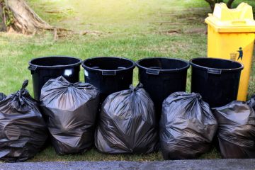 Yard Waste Removal in Mendota